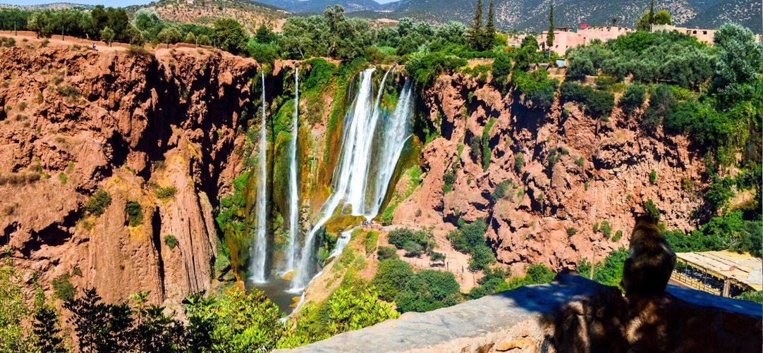 excursion-ouzoud-2
